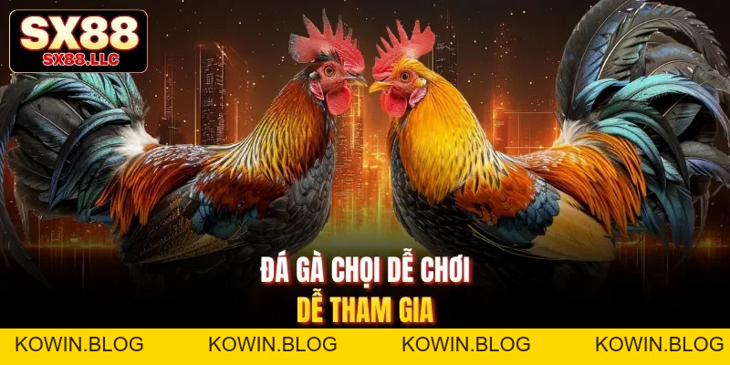 Đá Gà Chọi - Kịch Tính Với Các Màn Tấn Công Chuyên Nghiệp Tại SX88 - kowin