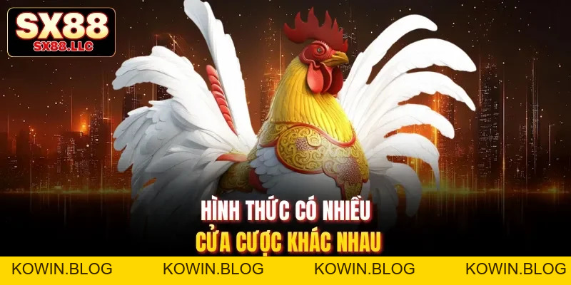 Đá Gà SX88 Mang Đến Những Trận Đấu Gay Cấn, Mãn Nhãn - kowin