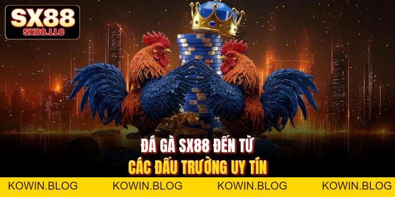 Đá Gà SX88 Mang Đến Những Trận Đấu Gay Cấn, Mãn Nhãn - kowin