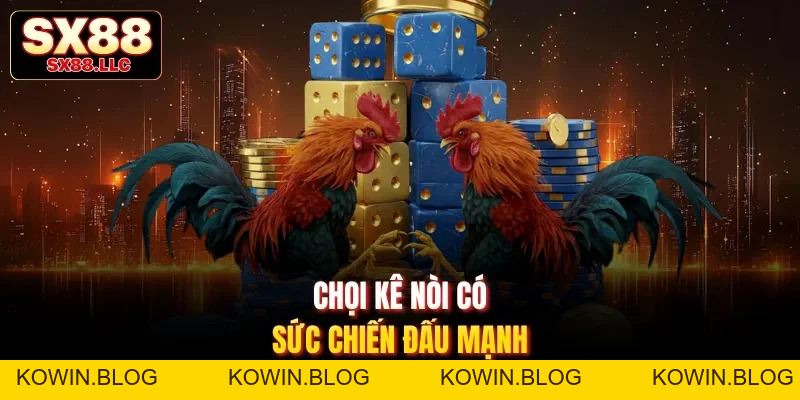 Đá Gà SX88 Mang Đến Những Trận Đấu Gay Cấn, Mãn Nhãn - kowin
