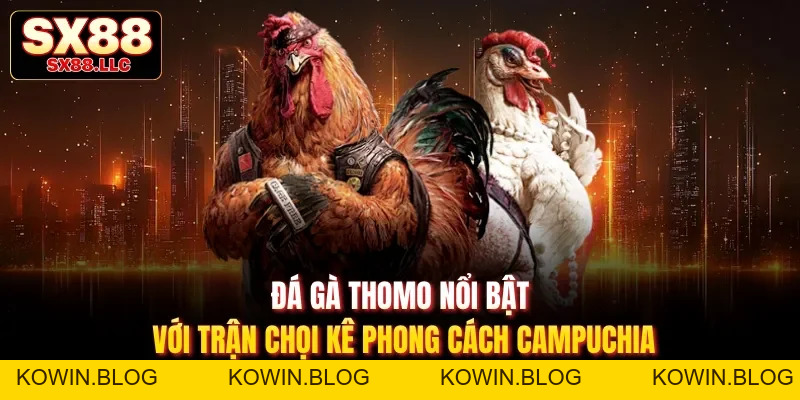 Đá Gà Tre Sx88 - Khám Phá Trận Đấu Kịch Tính, Chân Thực - kowin