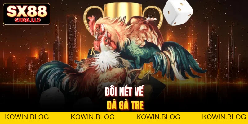 Đá Gà Tre Sx88 - Khám Phá Trận Đấu Kịch Tính, Chân Thực - kowin